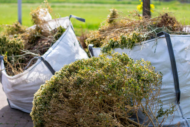 Best Affordable Junk Removal Services  in Berly, MO